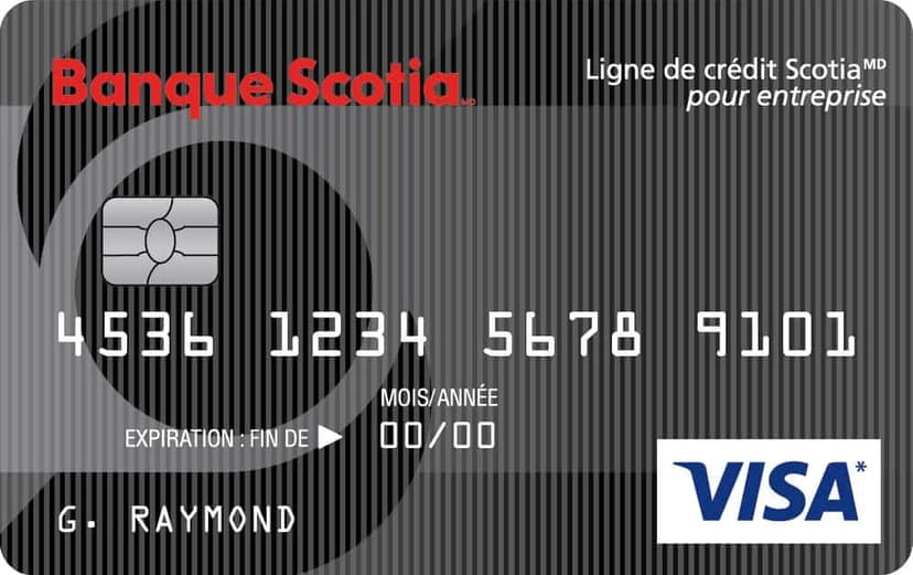 Carte Visa Ligne de crédit Scotia pour entreprise